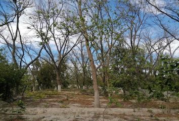 Lote de Terreno en  Barrio Del Sombreretillo, Parras