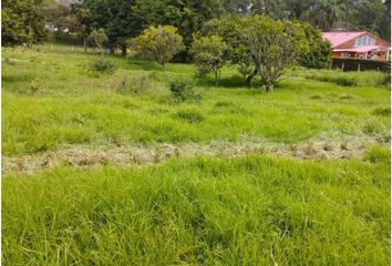 Lote de Terreno en  Pacho, Cundinamarca