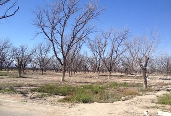 Lote de Terreno en  Las Trojes, Torreón