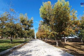 Lote de Terreno en  Durango, Mex