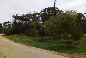 Terrenos en  Otro, Pinamar