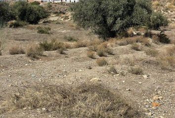 Terreno en  Huercal-overa, Almería Provincia