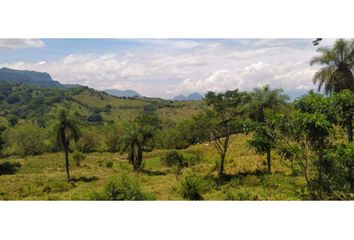 Lote de Terreno en  La Pintada, Antioquia