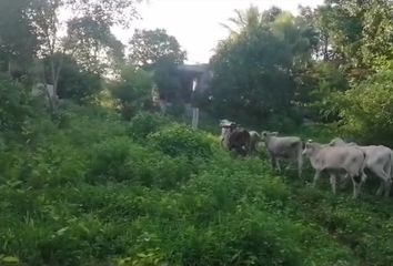 Casa en  Calotmul, Yucatán