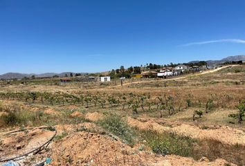 Lote de Terreno en  Principal 1-205, Francisco Zarco, Ensenada, Baja California, 22750, Mex