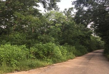 Lote de Terreno en  Tekax, Yucatán, Mex