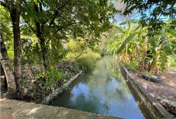 Lote de Terreno en  Miguel Hidalgo, Tlaquiltenango