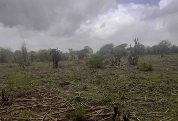 Rancho en  Soledad De Doblado, Veracruz De Ignacio De La Llave, Mex