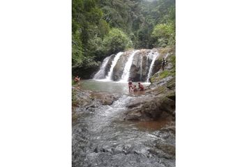 Finca/Hacienda en  Buena Vista, Colón Distrito