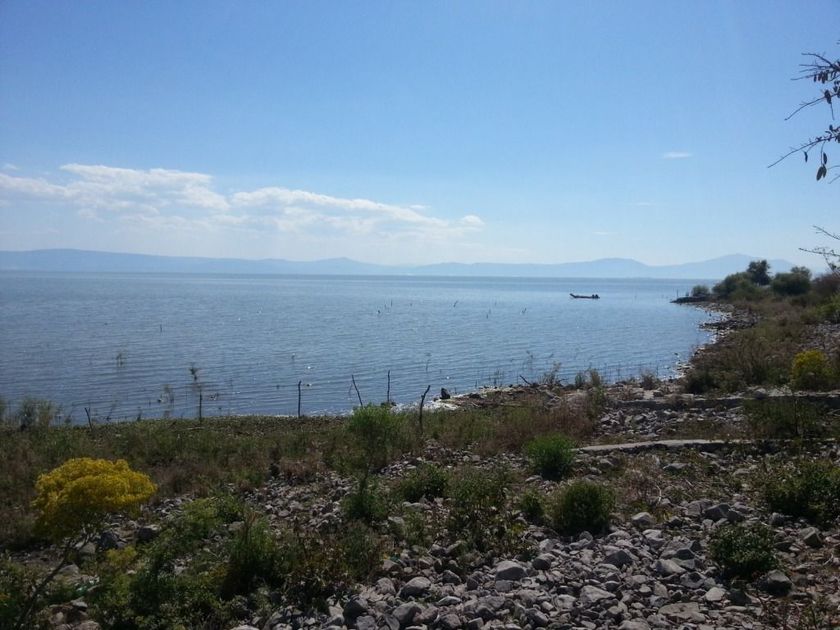 venta Lote de Terreno en Poncitlán, Jalisco (pyjepCW_SALE) icasas.mx