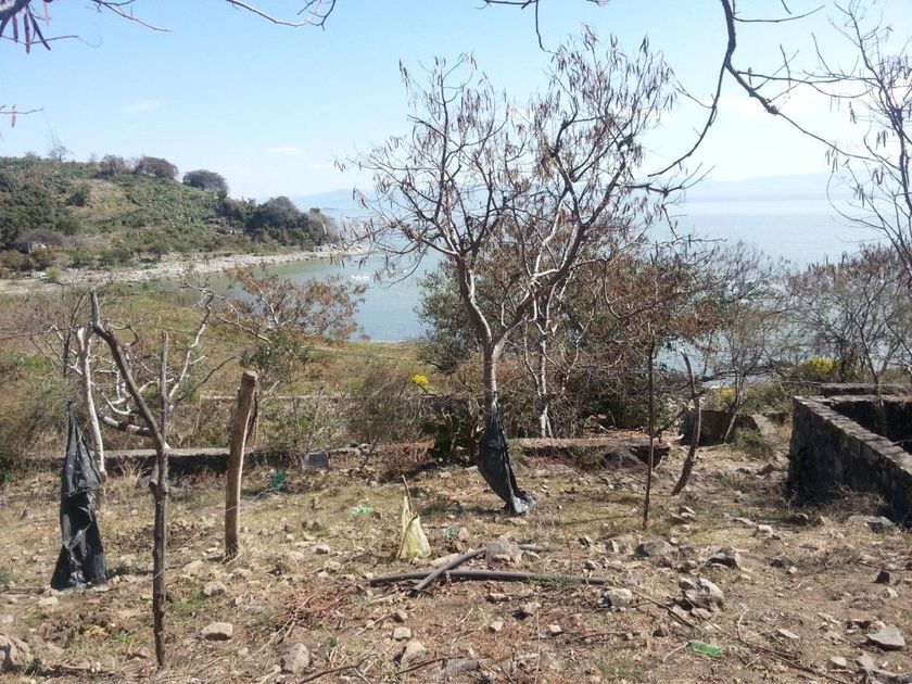 venta Lote de Terreno en Poncitlán, Jalisco (pyjepCW_SALE) icasas.mx