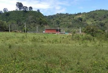 Lote de Terreno en  Garzón, Huila