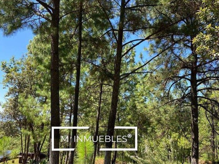 venta Casa en Quiroga, Michoacán (pQcXvbKventa) icasas.mx