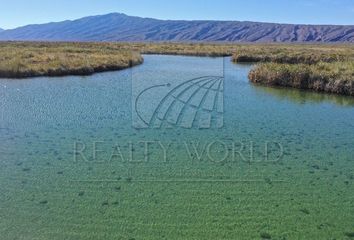 Lote de Terreno en  Cuatro Ciénegas, Coahuila