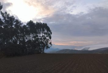 Terreno Comercial en  Tabacundo, Pedro Moncayo