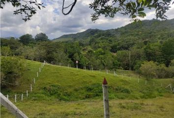 Lote de Terreno en  Zarzal, Valle Del Cauca