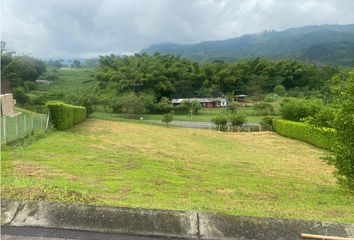 Lote de Terreno en  El Rosario, Manizales