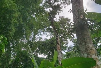 Terreno en  Tarapoto, San Martin