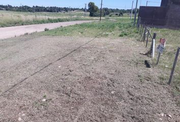 Terrenos en  General Cerri, Partido De Bahía Blanca