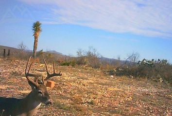 Lote de Terreno en  Villaldama, Nuevo León