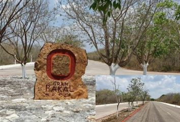 Lote de Terreno en  Sierra Papacal, Mérida, Yucatán