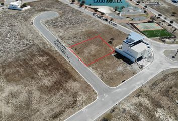 Lote de Terreno en  Pesquería, Nuevo León, Mex