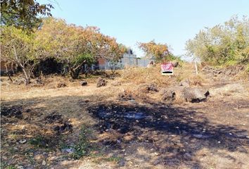 Lote de Terreno en  Yautepec Centro, Yautepec De Zaragoza