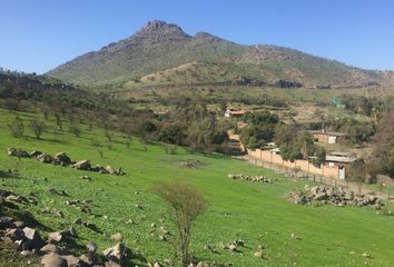 Parcela en  Colina, Chacabuco