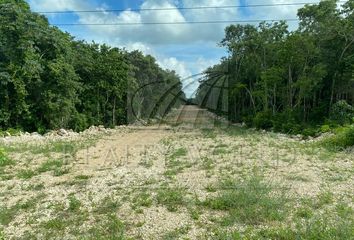 Lote de Terreno en  Puerto Morelos, Quintana Roo