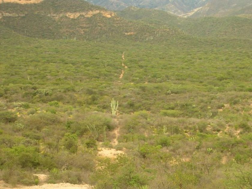 venta Lote de Terreno en San Miguel, Tehuacán, Tehuacán (25407204