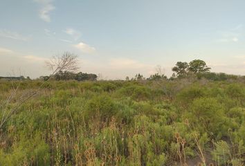 Terrenos en  Las Mercedes, Entre Ríos