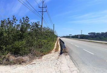 Lote de Terreno en  Tulum, Tulum