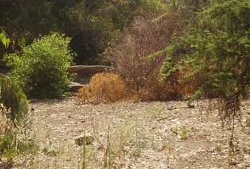 Parcela en  Vitacura, Provincia De Santiago