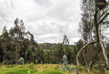 Terreno Comercial en  Octavio Cordero Palacios (santa Rosa), Cuenca