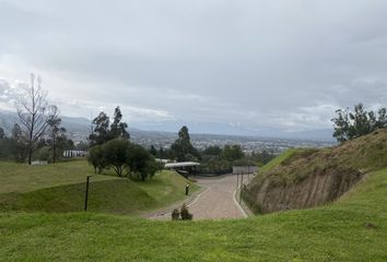 Terreno Comercial en  Conocoto, Quito