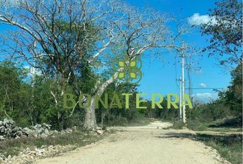 Lote de Terreno en  Pueblo Baca, Baca, Yucatán