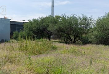 Lote de Terreno en  Rancho O Rancheria Valle De Aranzazu, León