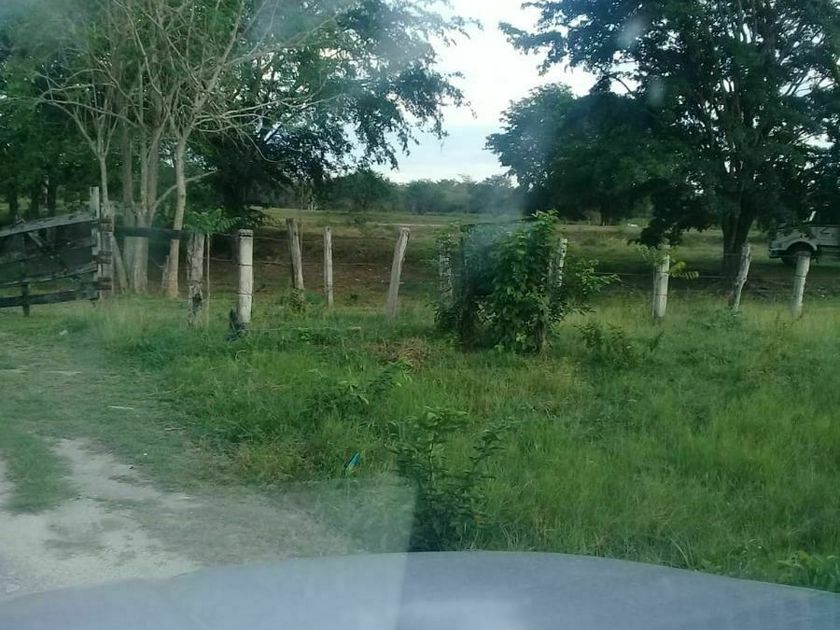 venta Lote de Terreno en Candelaria, Campeche (EBHT3767s) icasas.mx