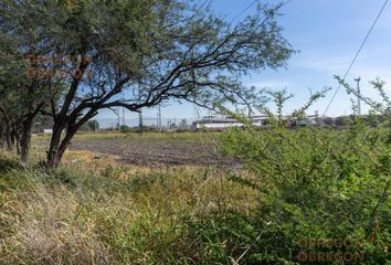 Lote de Terreno en  Rancho O Rancheria Salto De León, Coroneo