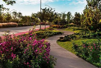 Lote de Terreno en  Altozano La Nueva Laguna, Nueva Laguna, Gómez Palacio, Durango, México