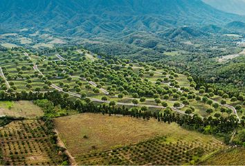 Lote de Terreno en  Ciudad Ciudad Allende, Allende, Nuevo León