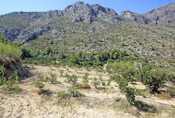 Terreno en  Beniarbeig, Alicante Provincia