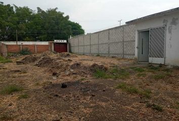Lote de Terreno en  Calle Registrado Reembolso, Empleado Postal, Cuautla, Morelos, 62748, Mex