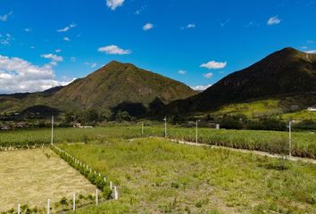 Terreno Comercial en  Loja