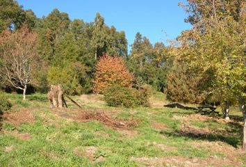 Parcela en  Villarrica, Cautín