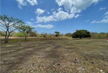 Lotes y Terrenos en  Cañazas