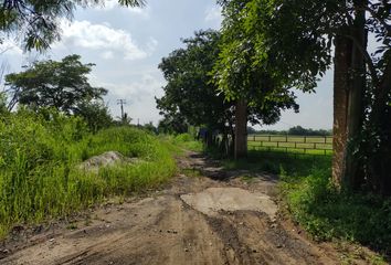 Lote de Terreno en  Carretera Mata Loma-soledad De Doblado, Mata Loma, Manlio Fabio Altamirano, Veracruz De Ignacio De La Llave, 94250, Mex