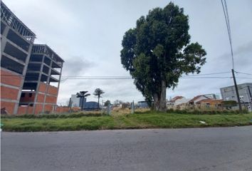 Terrenos en  Chauvín, Mar Del Plata