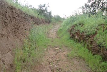 Parcela en  Curacaví, Melipilla