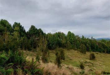 Parcela en  Puerto Montt, Llanquihue